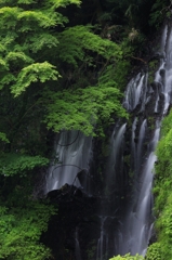 白糸の滝