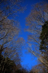 滝の頭上 滝の頭上