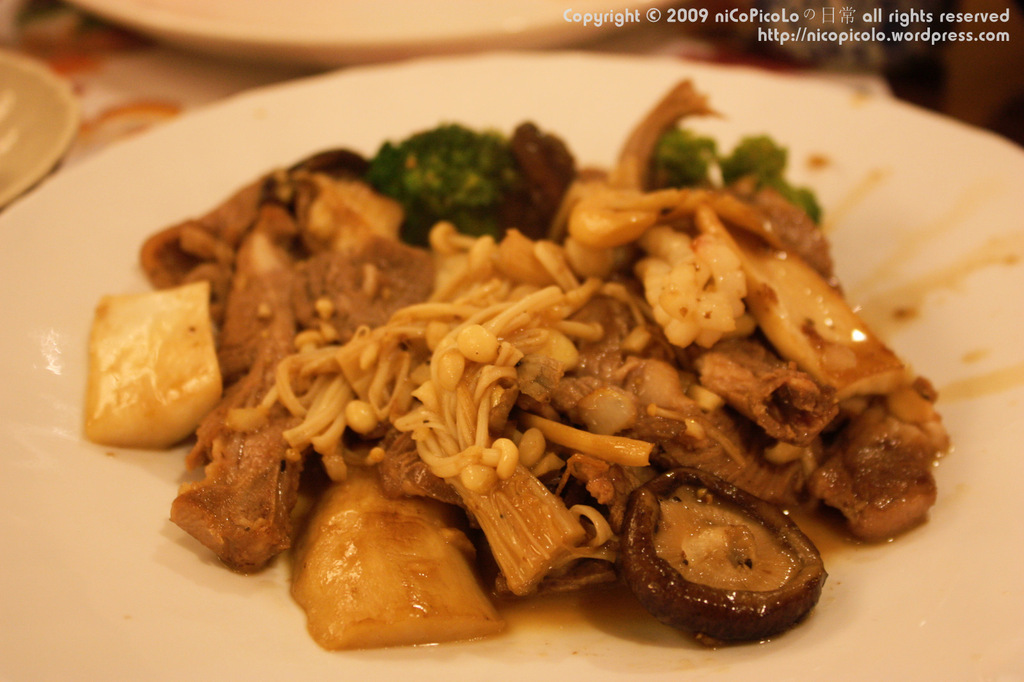 Shogun (4)