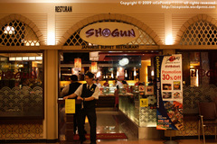 Shogun (10)