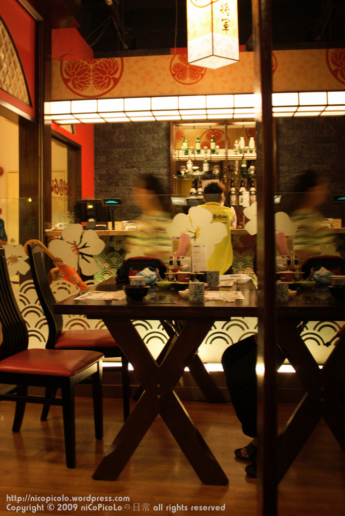 Shogun (9)