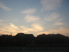 やわらかい空