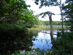 三湖　　15