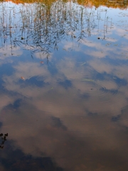 水空