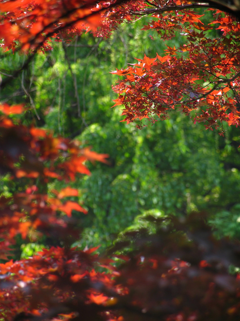 水鏡