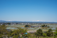 里の春・・・♪
