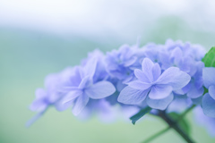 Cool beauty　#2 ・・・♡