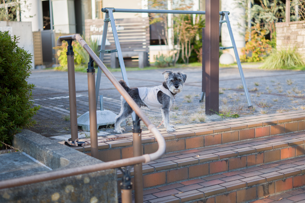 2022/10/02 待ちぼう犬・・・(^^♪