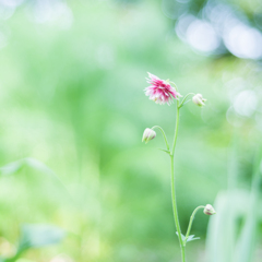 20220526 うちにおいでよ・・・♡