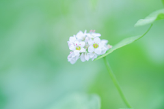 懐かしい想い出・・・♡
