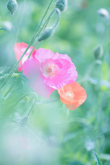 恋の予感・・・♡