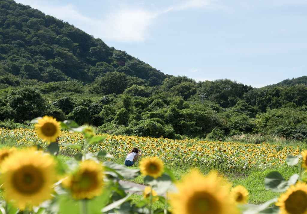 花だより・・・♪