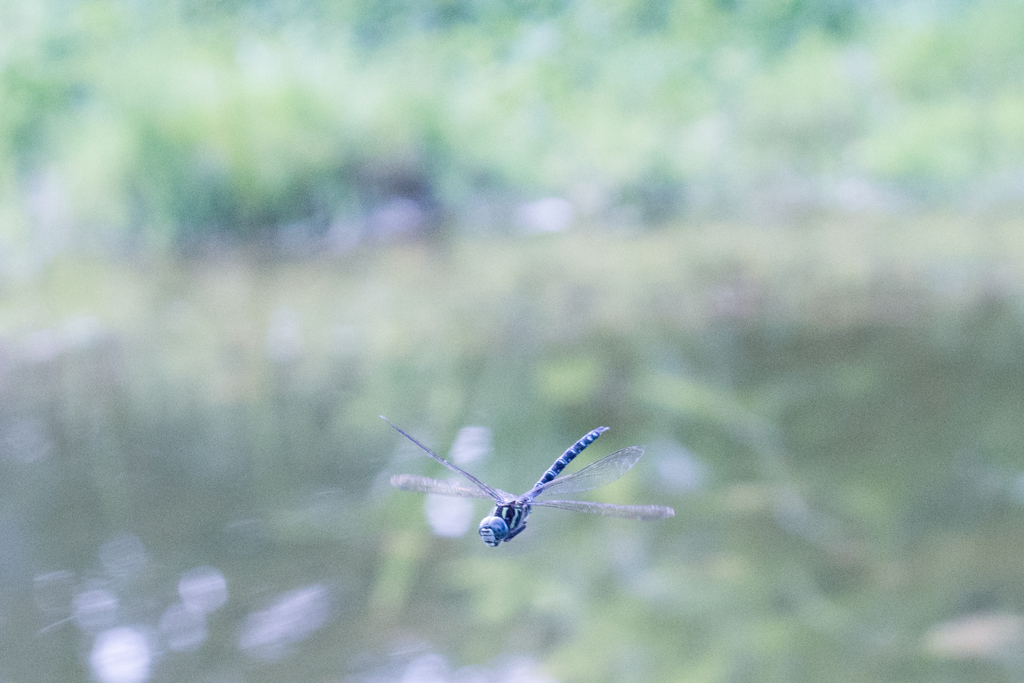 来た～！