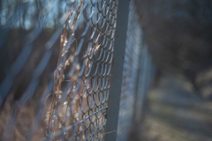 2025/12/20 ♥ fence ♥