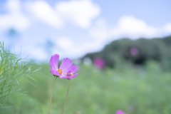2025/08/28 準備中・・・♡