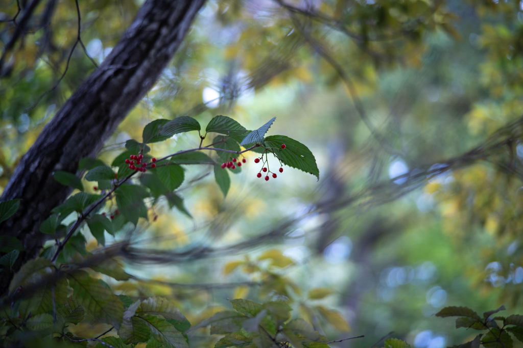 2025/10/04 今年は逢えたね・・・♡