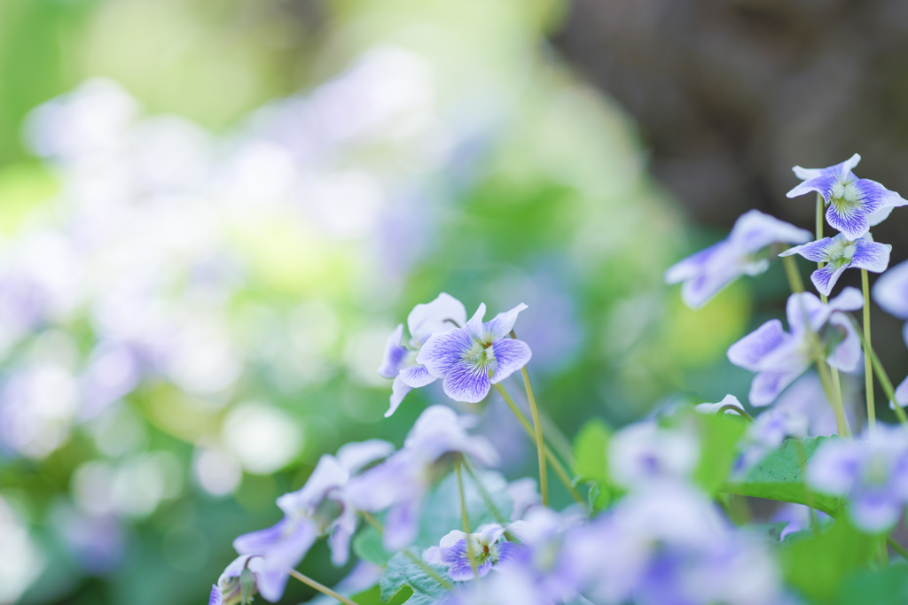 ちいさな幸せ・・・♡