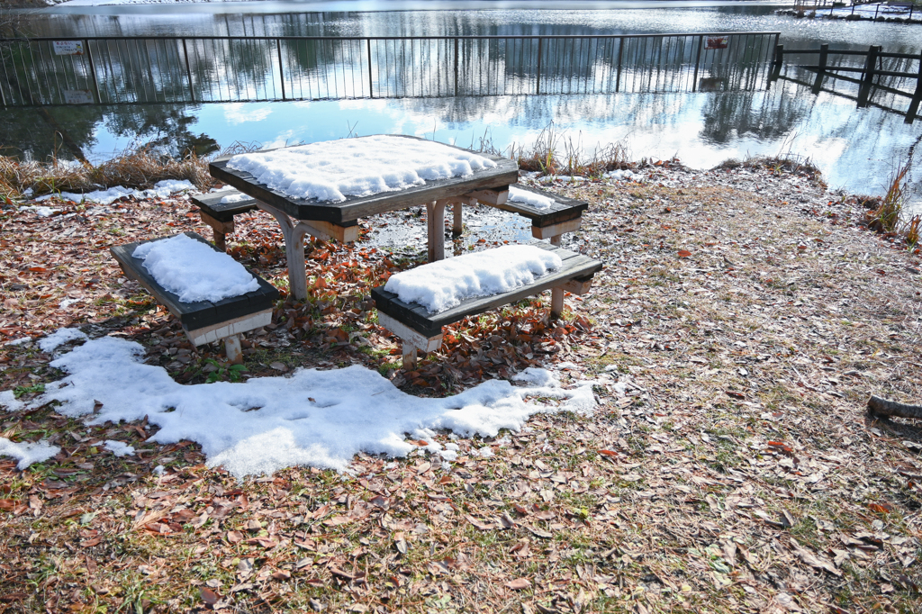 2025/01/13 雪がやんで・・・(^^♪
