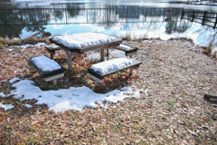 2025/01/13 雪がやんで・・・(^^♪