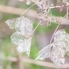 20220316 カットワーク・・・♡