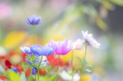 2025/05/14 お出迎え・・・♡
