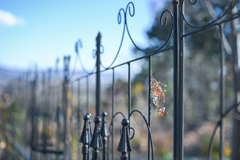 2024/12/10 ♥ fence ♥