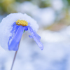 2023/12/18 初積雪・・・♡