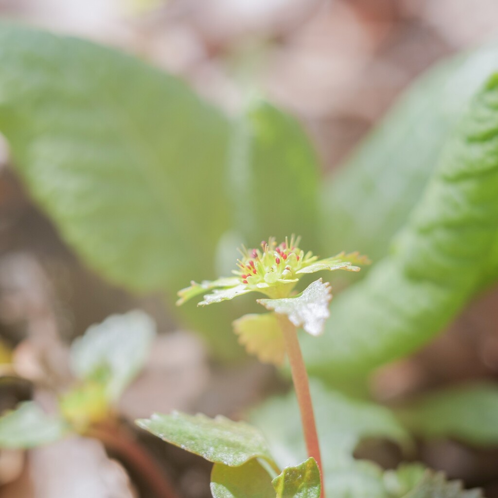 20210415 つんつん・・・♡