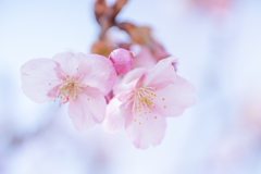 あなたに微笑む・・・♡
