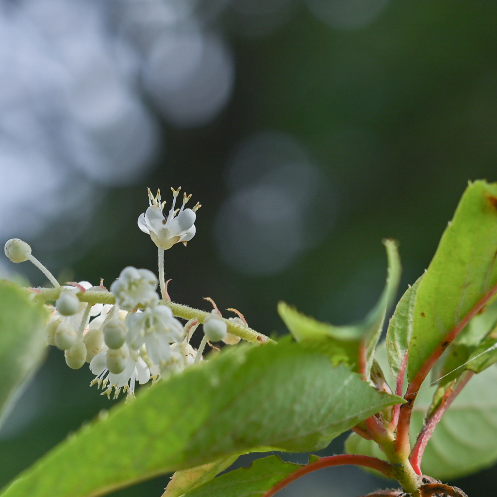 2024/07/06 あふれる想い・・・♡