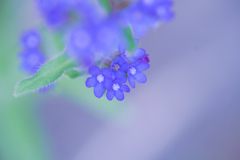 青が好き・・・♡