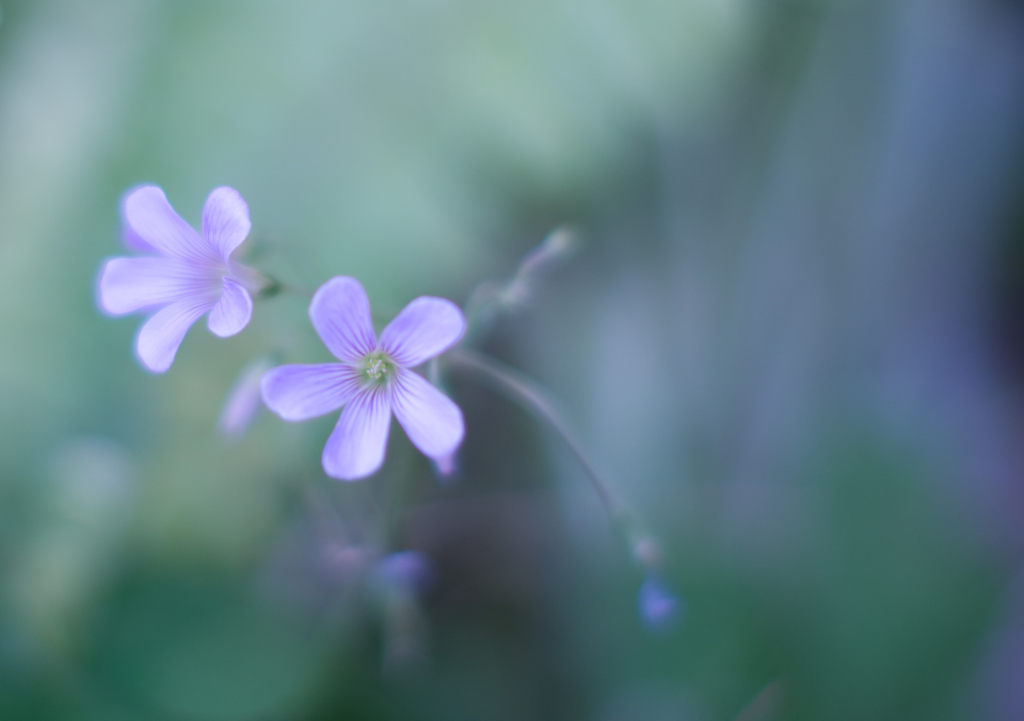 心で感じる・・・♡