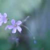 心で感じる・・・♡