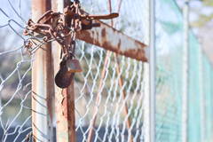 2025/02/15 ♥ fence ♥