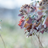 2023/01/07 Winter colors・・・❤