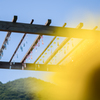 20220819 夏空に・・・♫