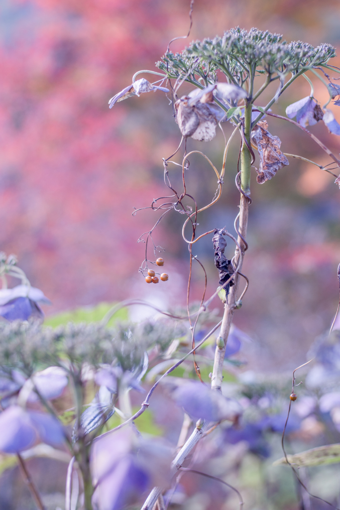 Natural art・・・♪