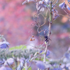 Natural art・・・♪