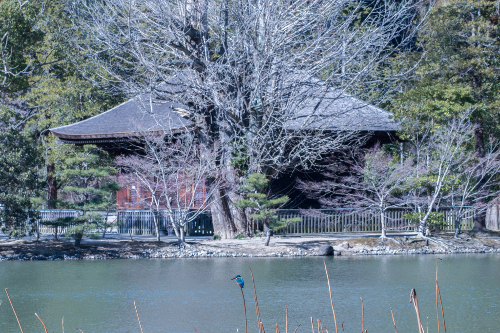 こんなところ・・・♬