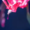 命の喜び・・・♡