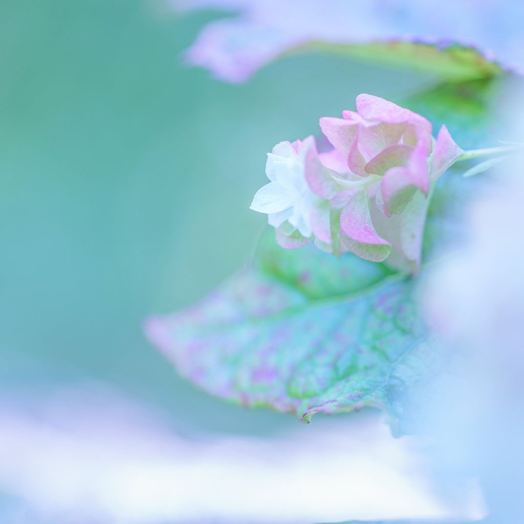 うつりゆく・とき・・・♡