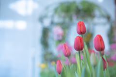 2026/02/13 春といえば・・・♡