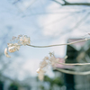 2025/03/07 紫陽花 collection ♡ 17