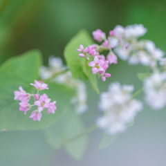 喜びも悲しみも・・・♡