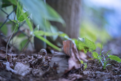 2025/09/23 幼天狗・・・♡