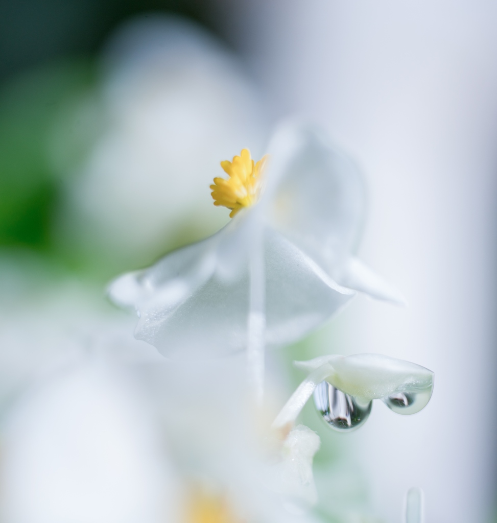片想い・・・♡