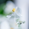 片想い・・・♡