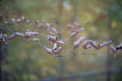 2025/11/02 みんなでくるりん・・・♡