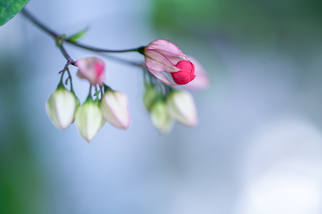抱擁・・・♡