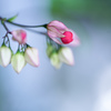 抱擁・・・♡